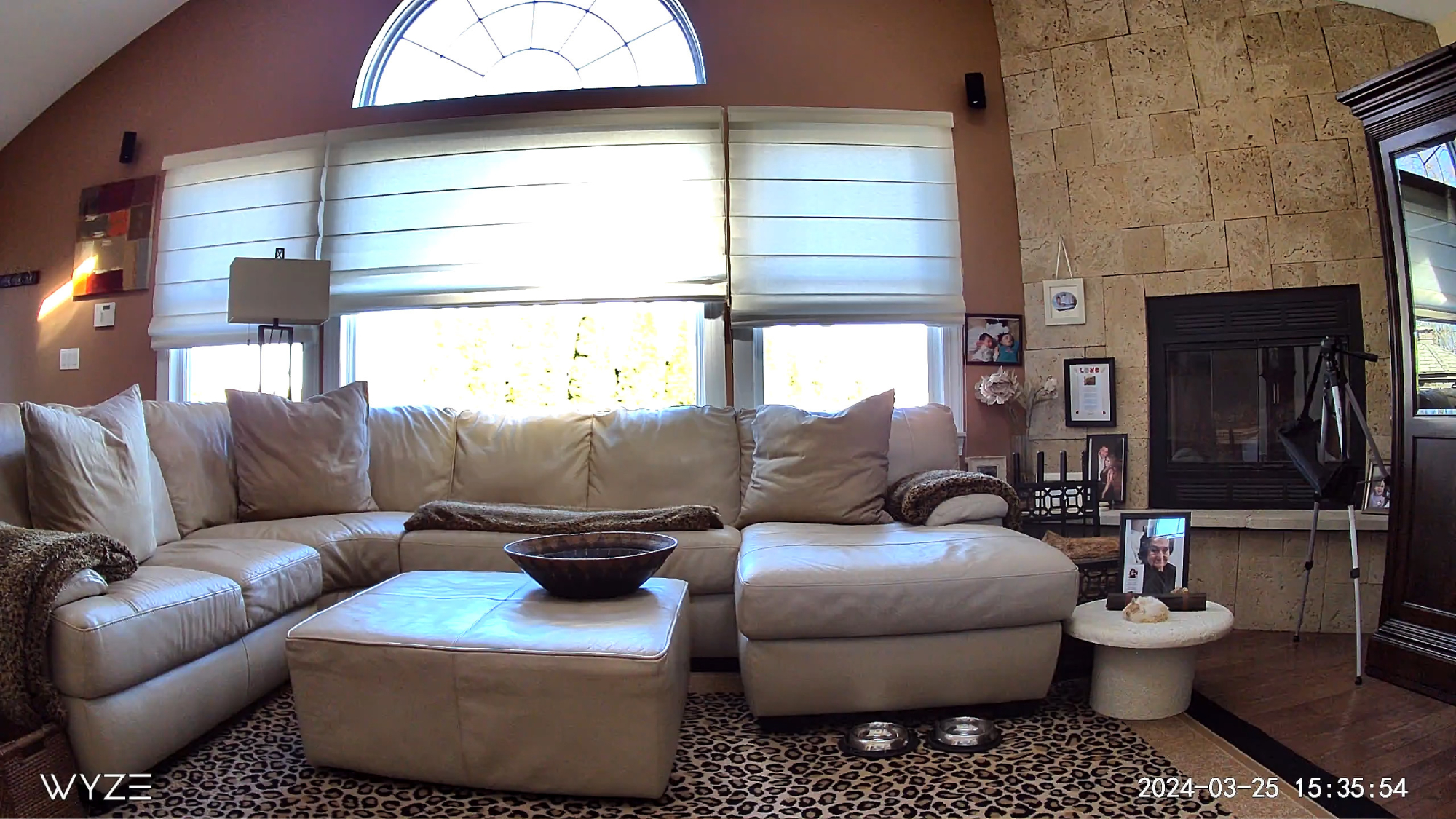 Wyze Cam v4 captures living room