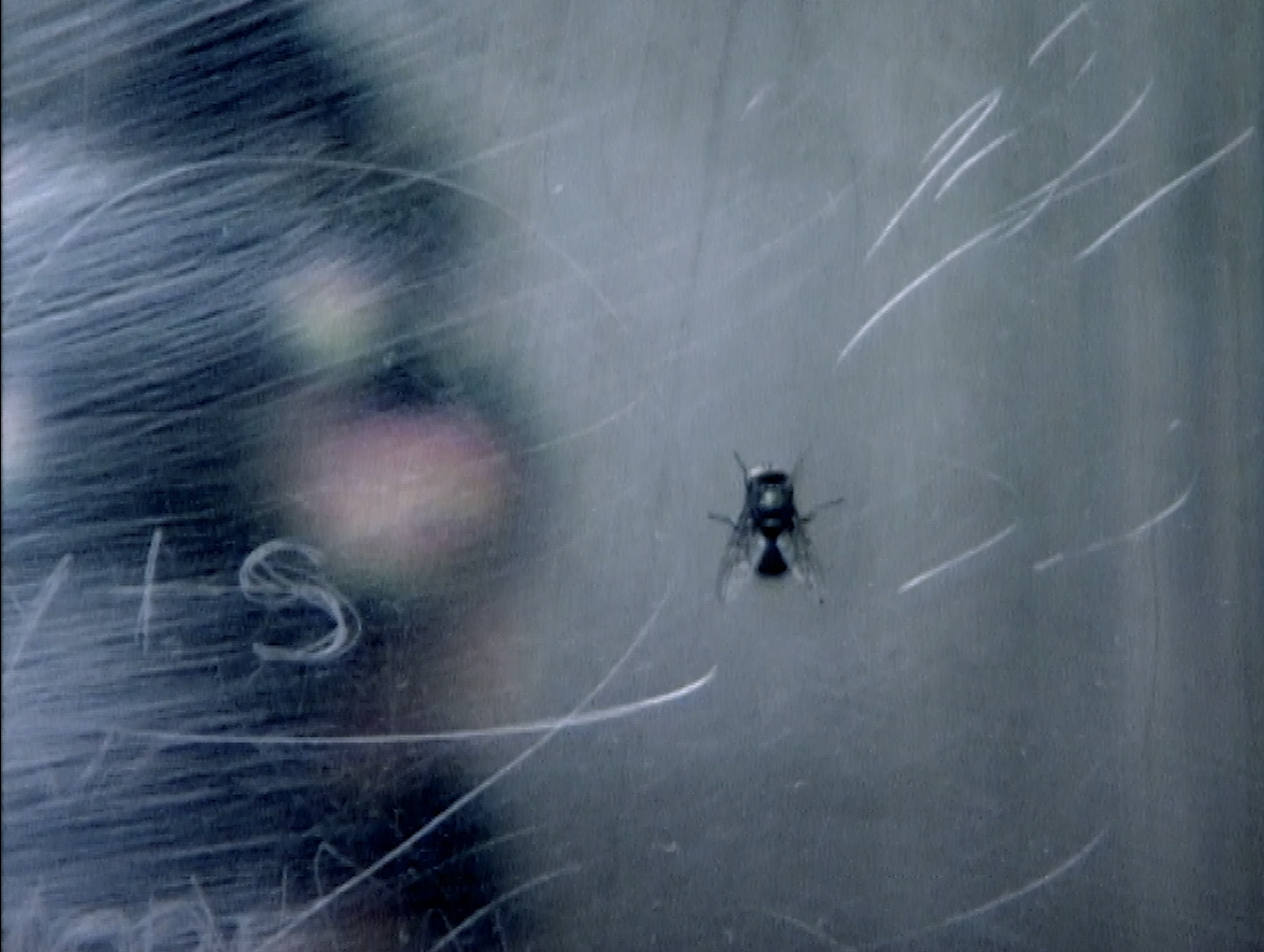 stills from marc issacs short film, 'lift'