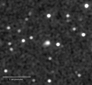Swift Image of Comet Ison 