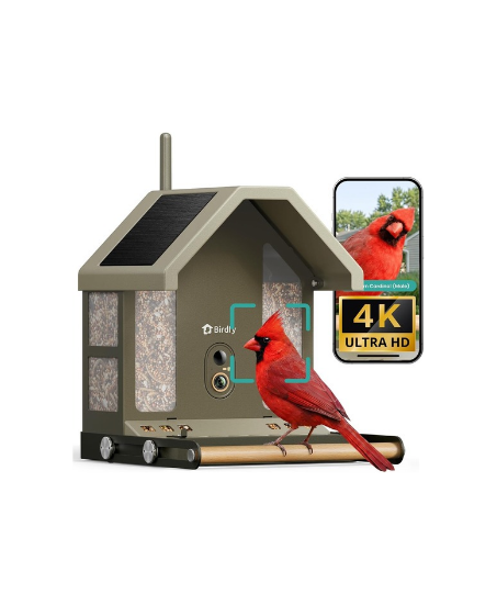 Birdfy Smart Bird Feeder