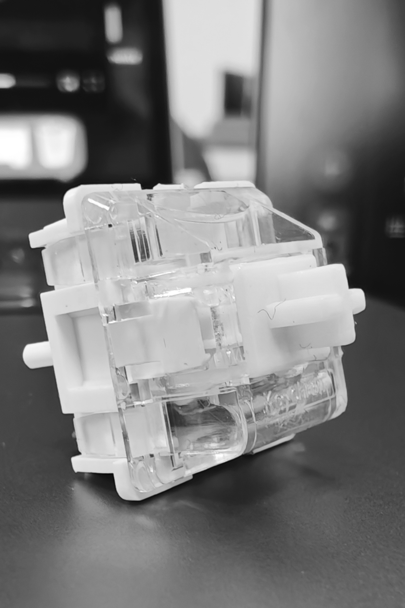 Leica Q3 Monochrom vs Leica Leitzphone macro comparison