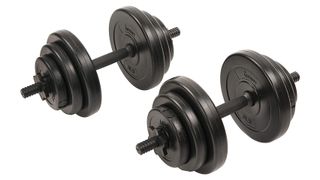 Sunny Health and Fitness 40lb adjustable dumbbell landscape