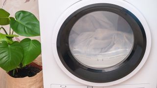 Washer-dryer combo mistakes - a washer-dryer with clothes inside and a plant next to it