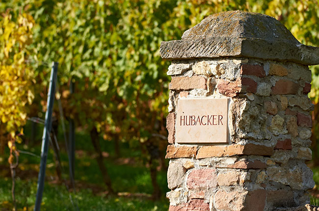 Weingut Keller