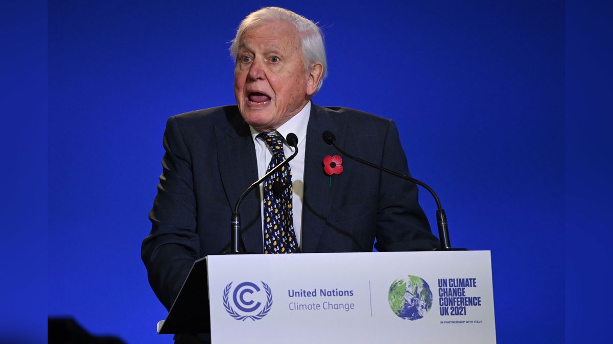 Sir David Attenborough speaking at the opening ceremony of the UN Climate Change Conference 2021