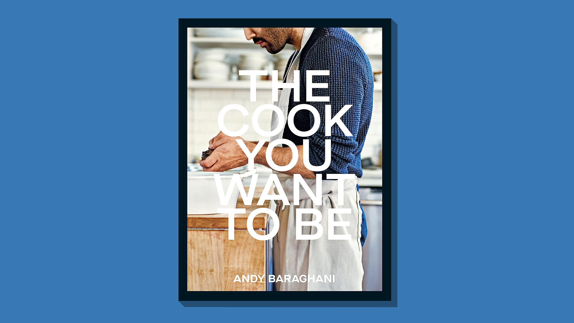 Book cover of 'The Cook You Want to Be' by Andy Baraghani