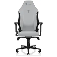 Secretlab Titan Evo Ash