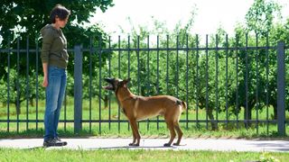 woman commanding dog