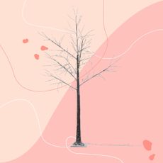John Lewis Pre-Lit Birch Twig Tree, 6ft on a pink background