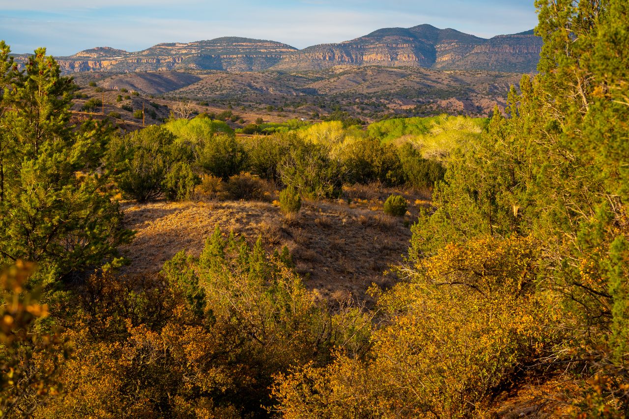 Gila National Forest.