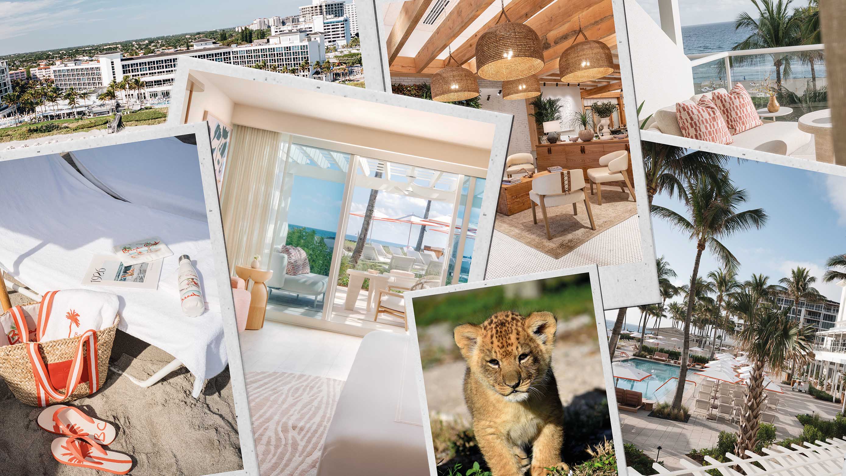 Palm Beaches Florida