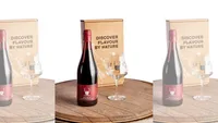 The Wild Beer Co's Christmas Wineybeest gift box