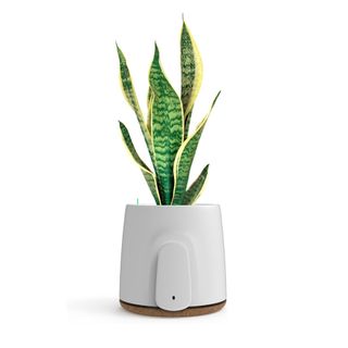 VITESY NATEDE BASIC Air Purifier 