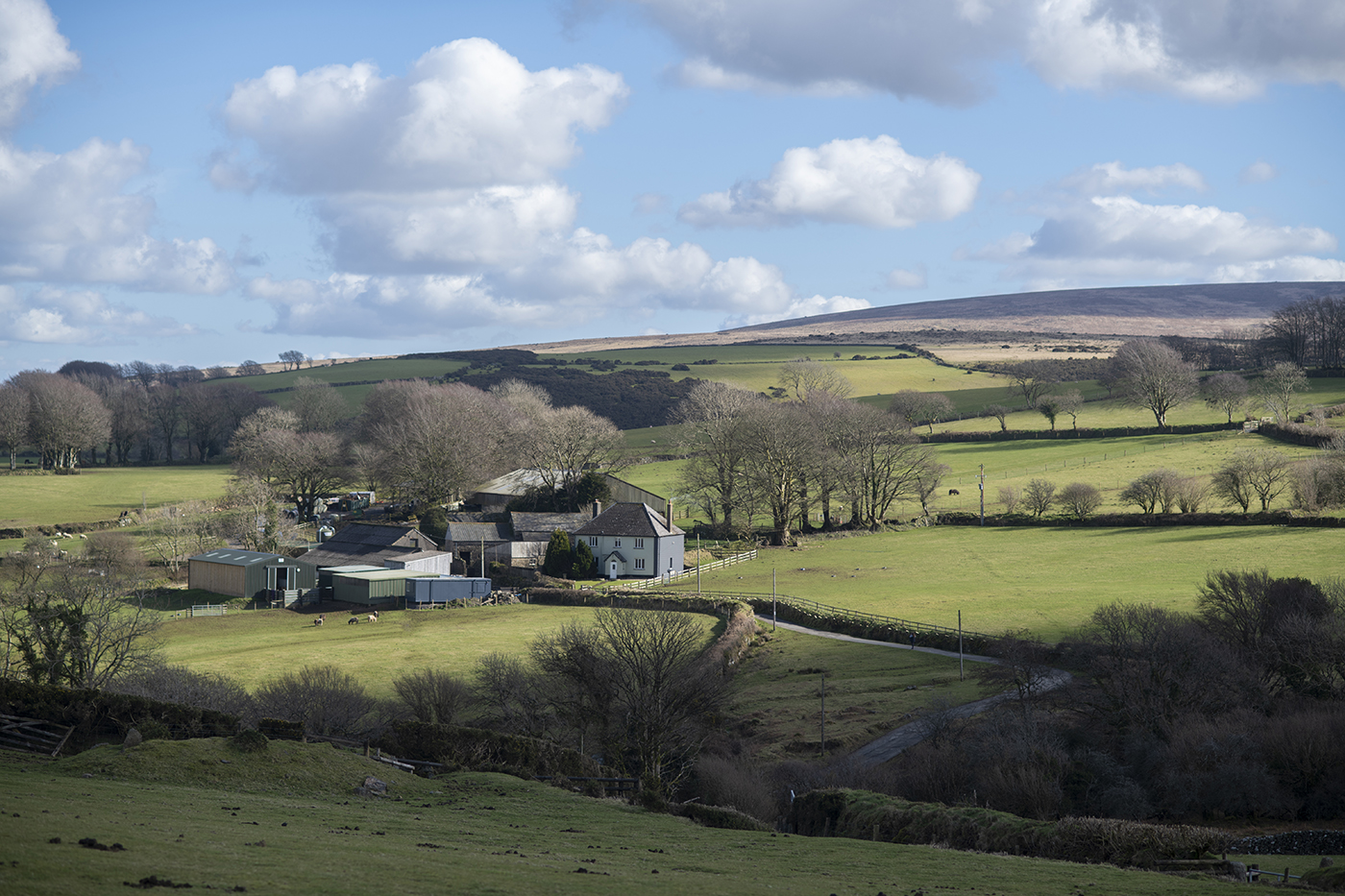DSC_1342