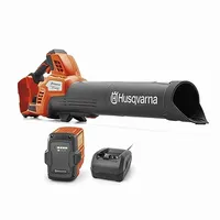 Leaf Blowers: up to $200 off @ Home Depot Leaf Blowers: up to $200 off @ Home Depot