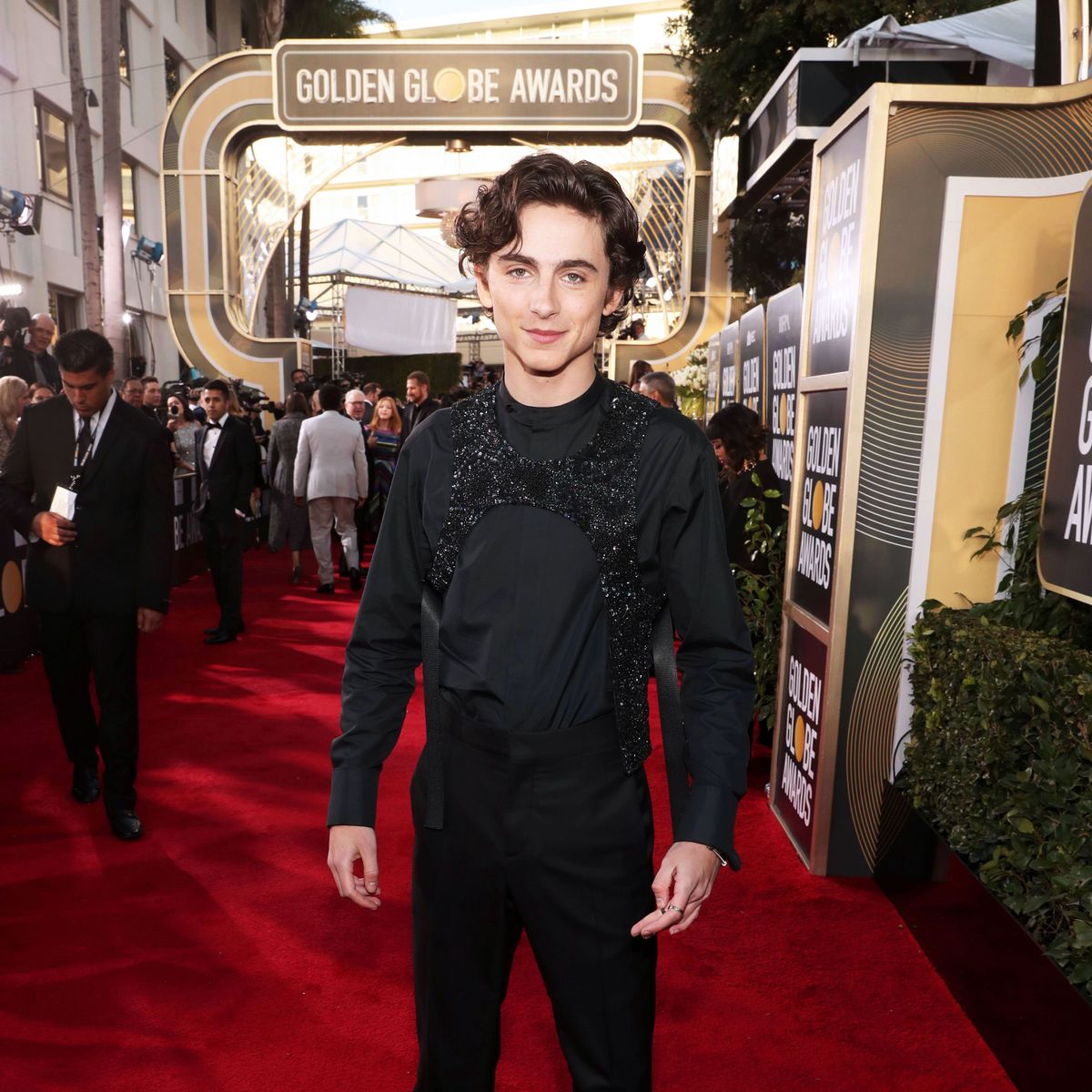 Timothée Chalamet Golden Globes 2019 Outfit Marie Claire
