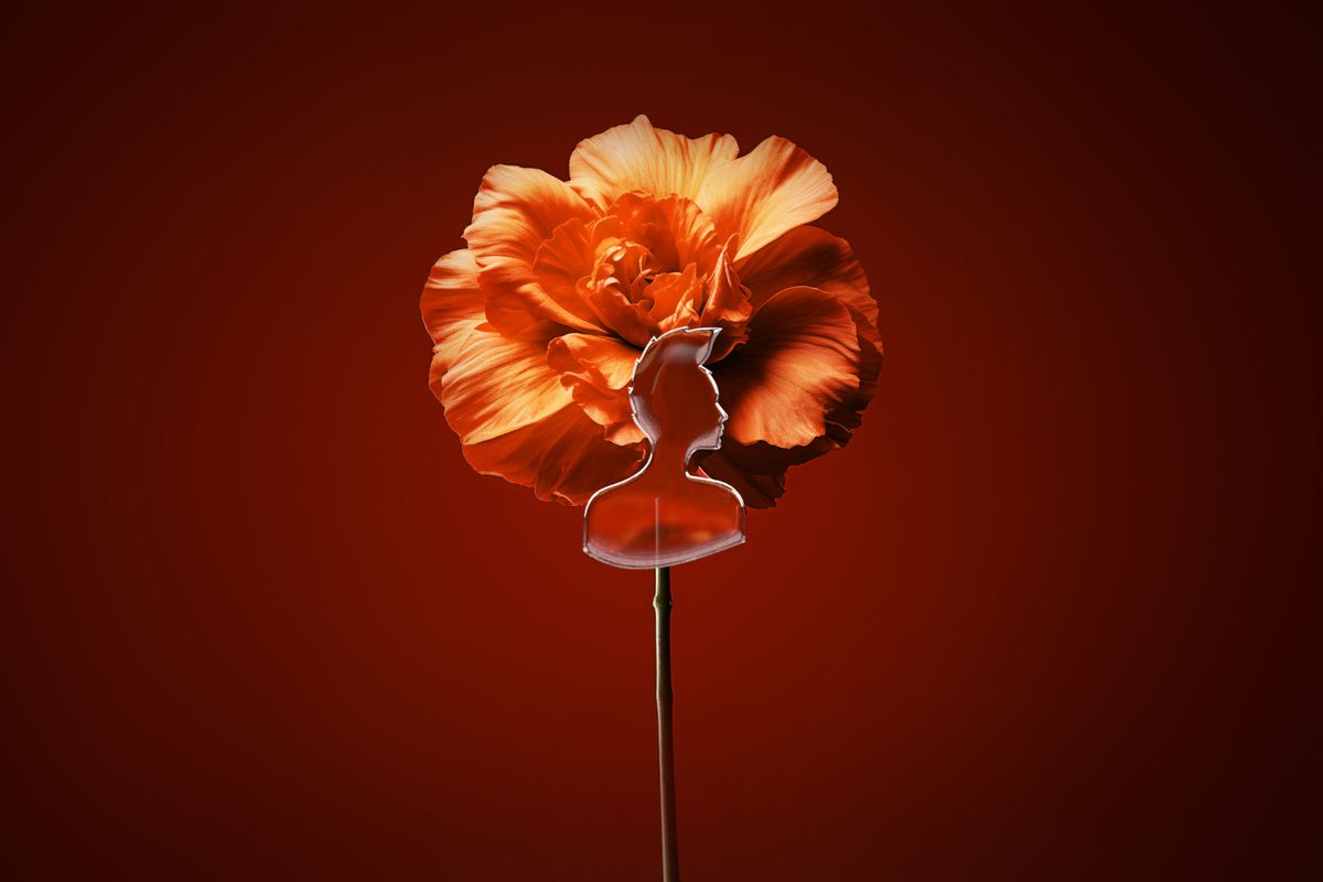images of new British Land rebrand which shows natural objects in a beautiful way