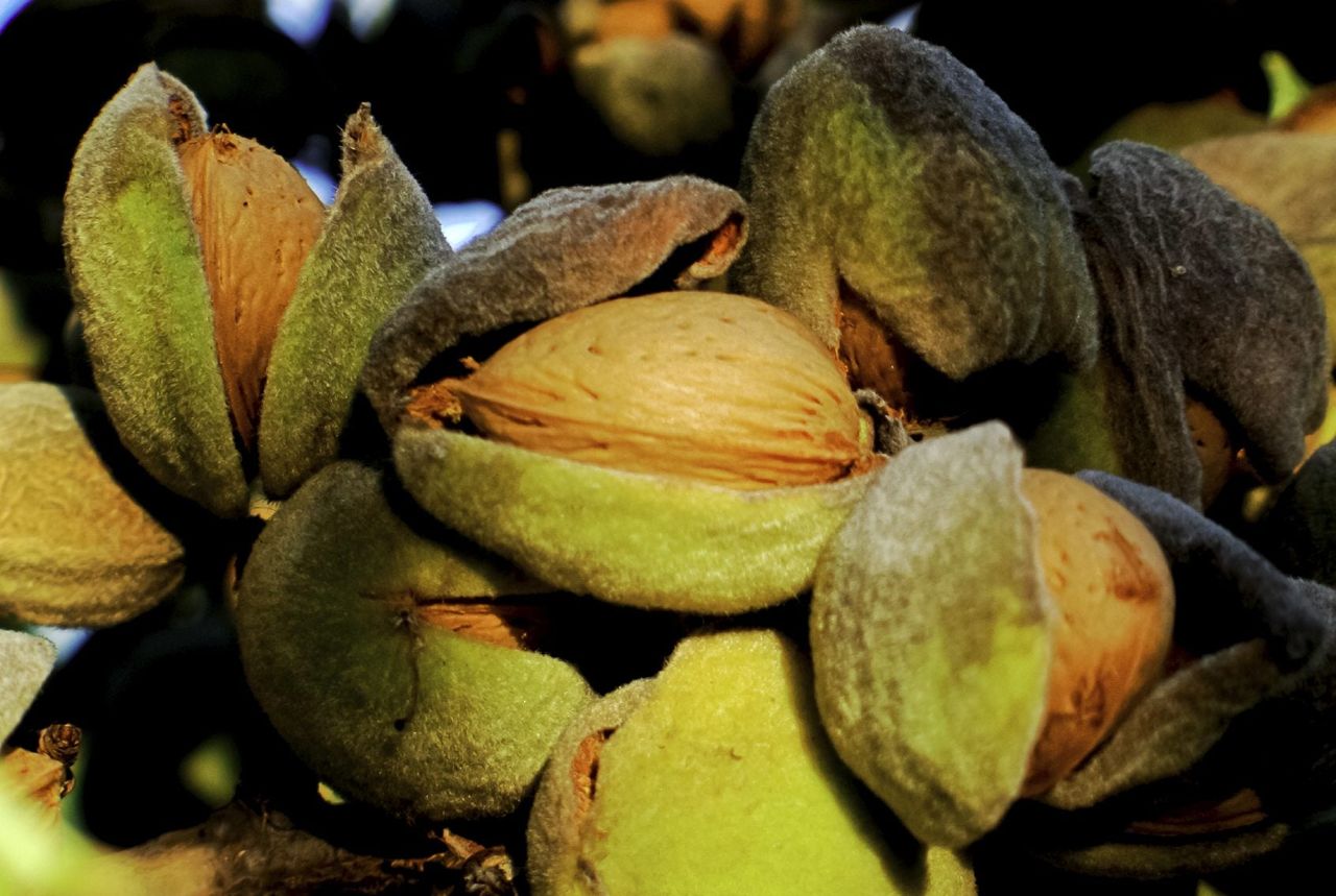 Pile Of Almond Nuts