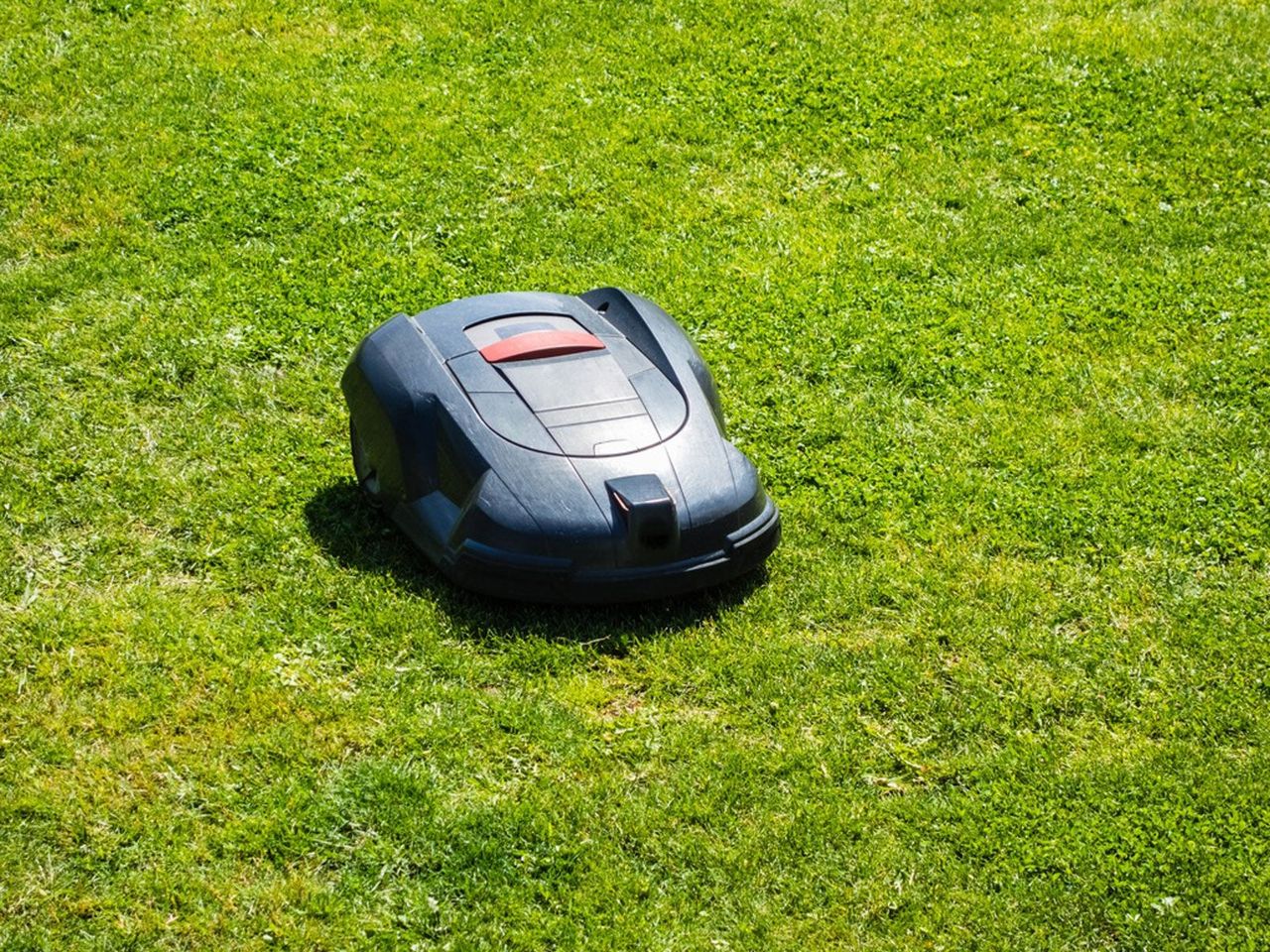 Smart Robot Lawn Mower On Grass