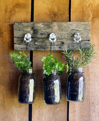 Mason storage jars filled with herbs and hung up to create a handy indoor garden by neptune