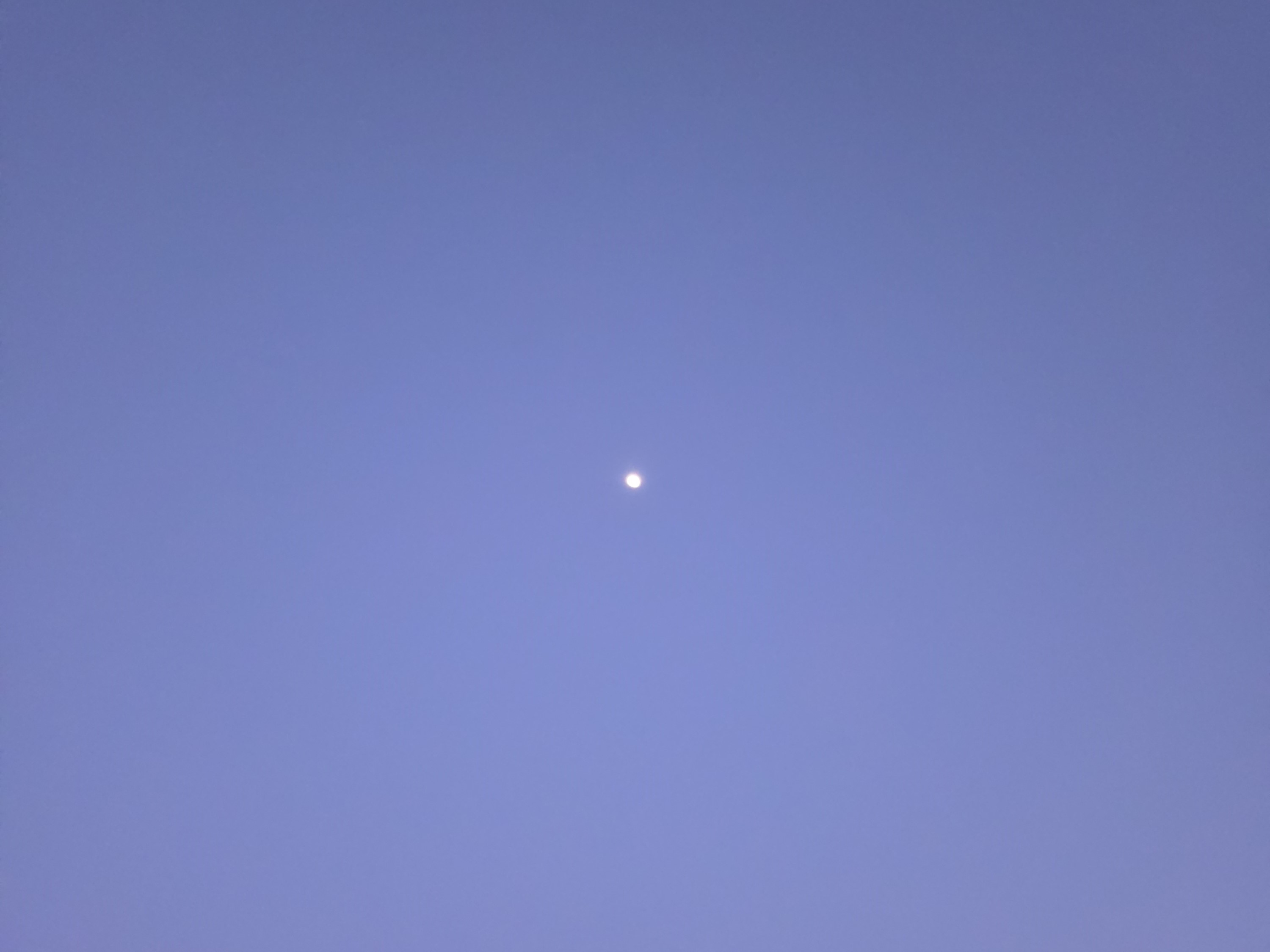 Samsung Galaxy S26 Plus Review Camera Samples