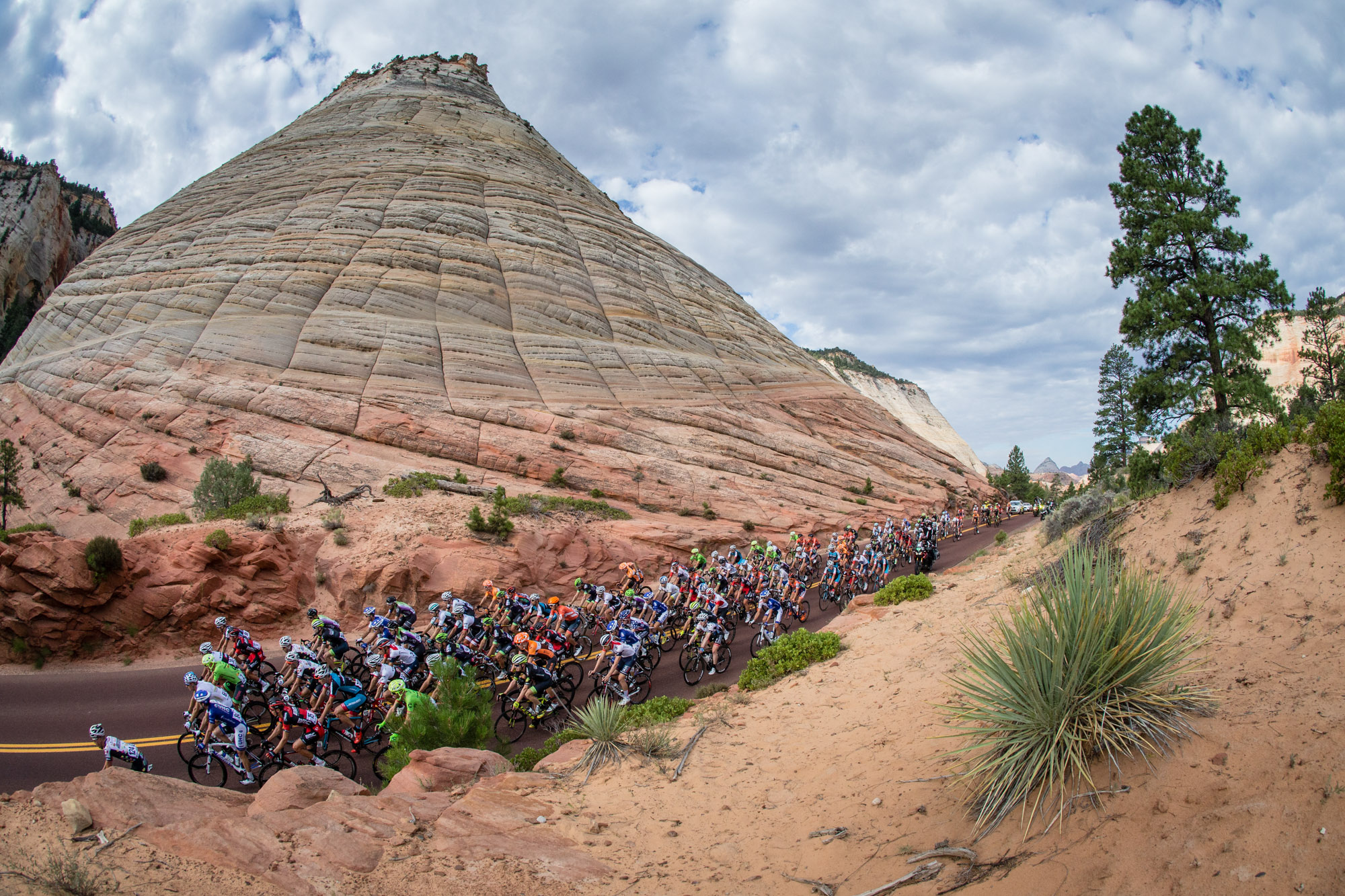 The Tour of Utah peloton passes by Checkerboard Rock in Zion National Park.