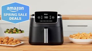 Ninja Air Fryer Pro 4-in-1