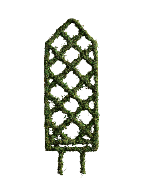 Mossy Diamond Lattice Trellis