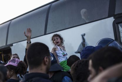 A child cries as migrants try to board a bus on Croatia's border with Serbia.