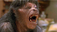 An American Werewolf in London - Transformation scenes