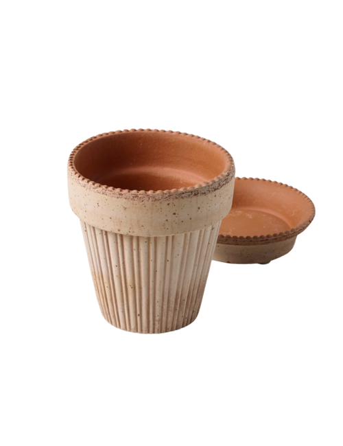 Terracotta Dotted Bergs Pot