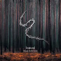Lunatic Soul - Through Shaded Woods (2020)