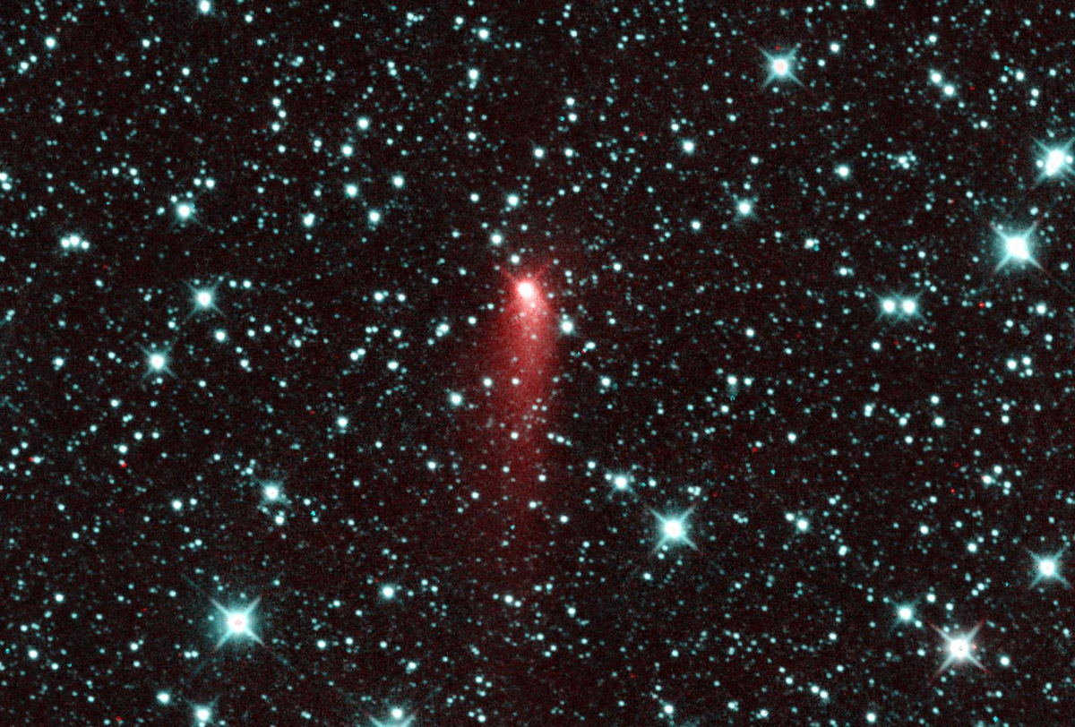 NEOWISE Views Comet Catalina