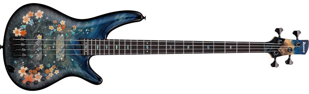 Ibanez guitar