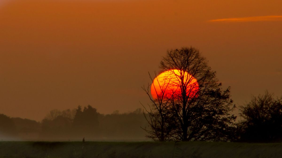 GuruShots - Nature March 2026