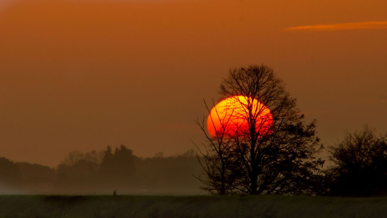 GuruShots - Nature March 2026