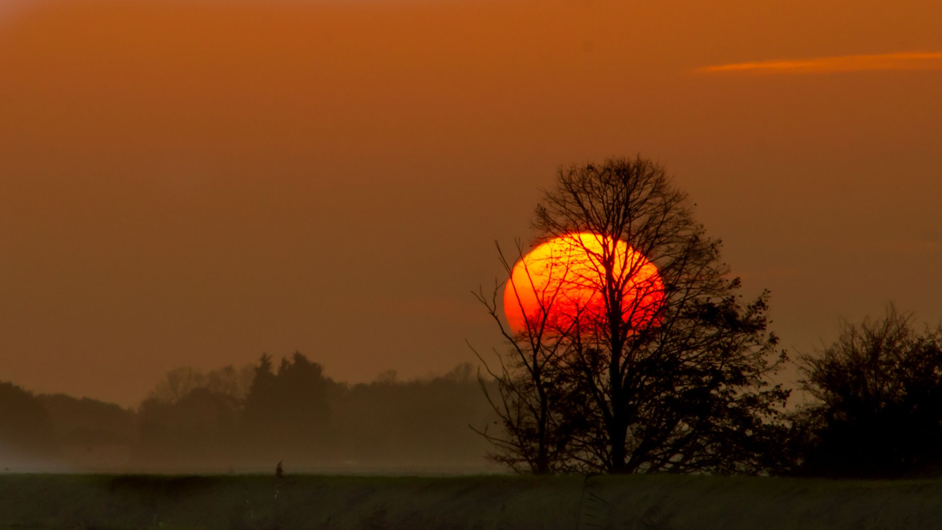 GuruShots - Nature March 2026