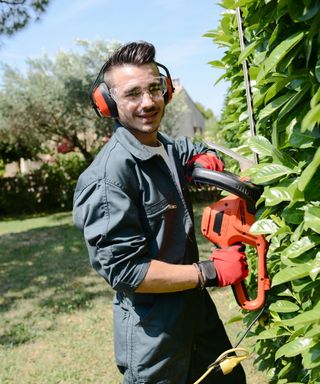 A gardener wearing protective equipment when hedge trimming