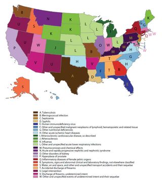 A new map shows the "most distinctive" causes of death for each state. It shows where a rate of death from a certain cause was much higher than it was in the entire United States. 