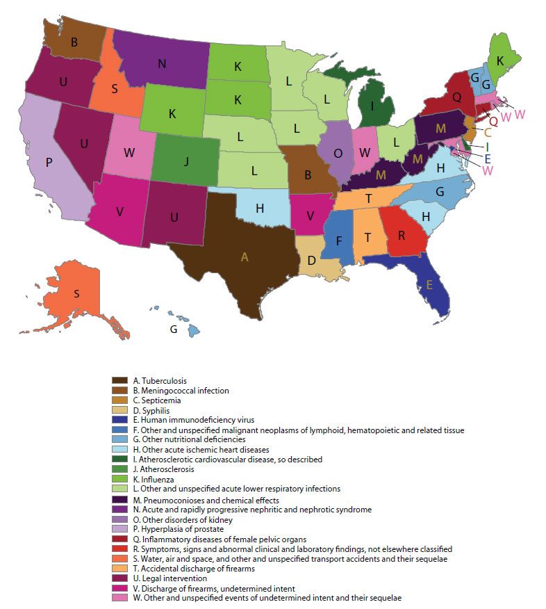 A new map shows the &quot;most distinctive&quot; causes of death for each state. It shows where a rate of death from a certain cause was much higher than it was in the entire United States. 