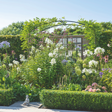 Cottage garden in full bloom