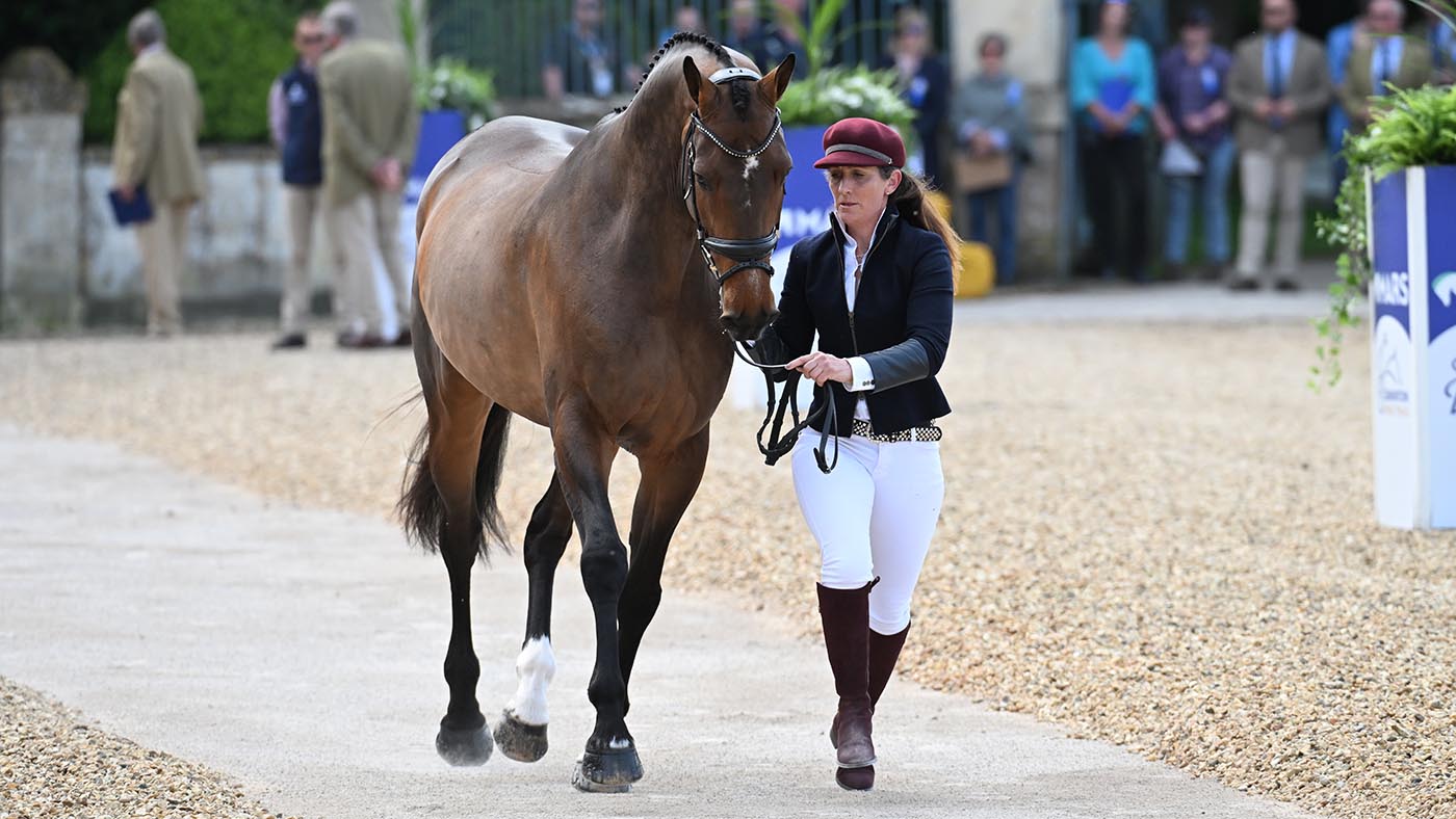 Badminton Horse Trials special prizes: best mare Greenacres Special Cavalier