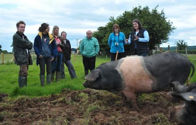 Humble by Nature in Monmouthshire runs all sorts of rural skills courses