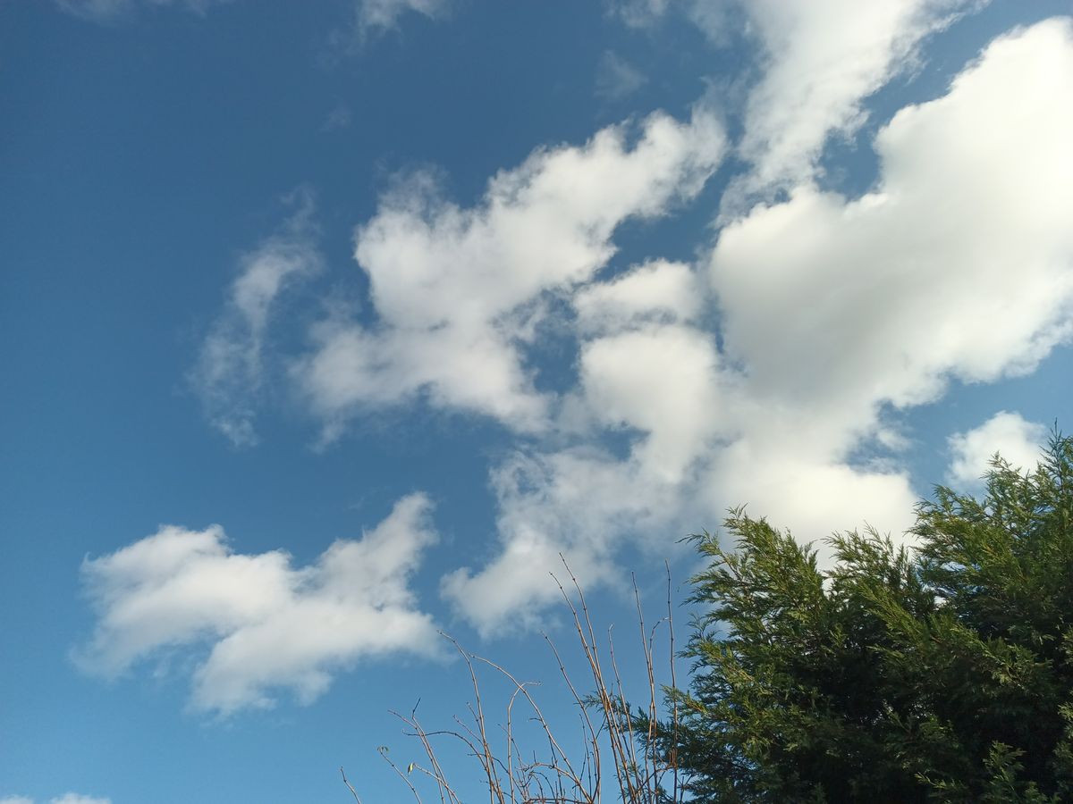 Doogee V30 photo examples
