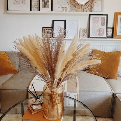 Amazon pampas grass in Annie's home on her coffee table