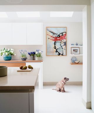 Kitchen with dog in