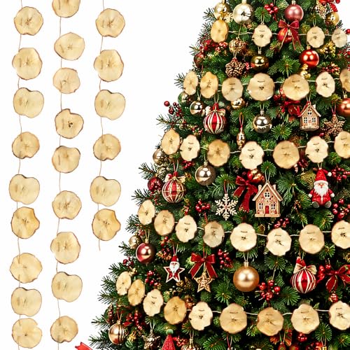 B1ykin Dried Apple Slice Christmas Fall Garland - 1pcs &amp;#65288;apple