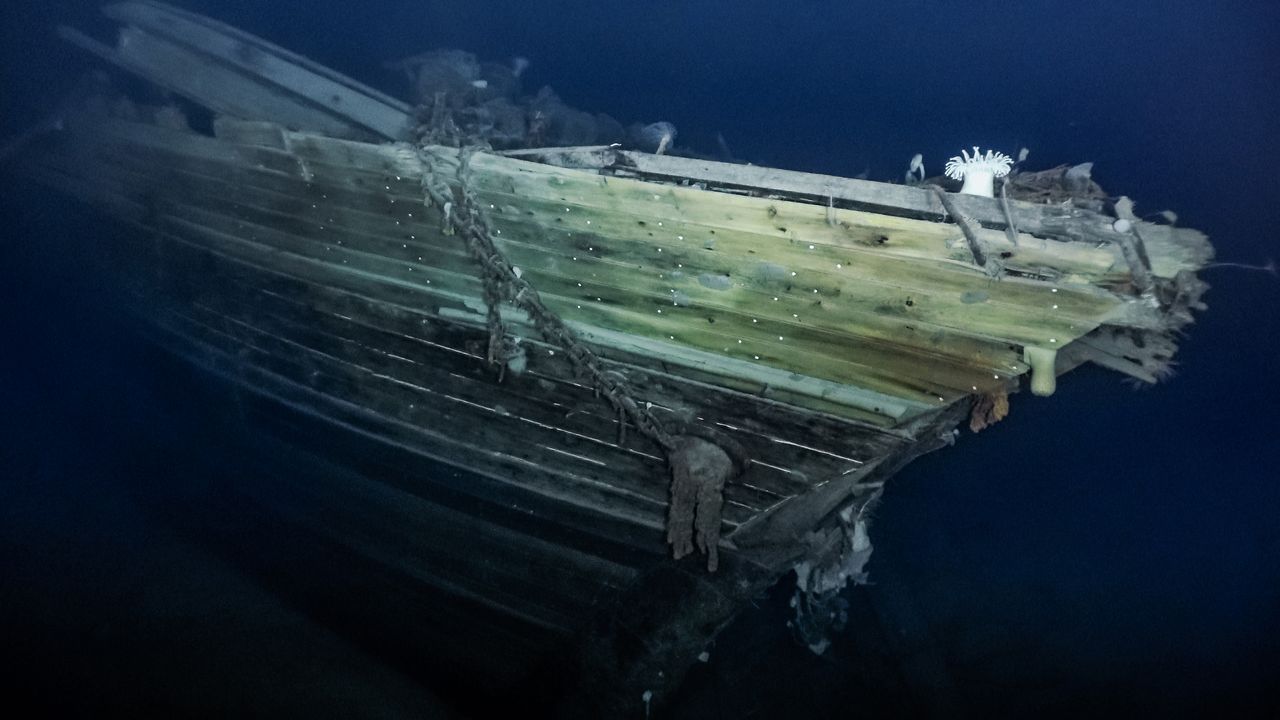 Sea anemones have taken up residence on the stern of the Endurance, with the name and emblematic polestar.