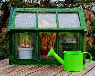 Mini greenhouse made from old picture frames