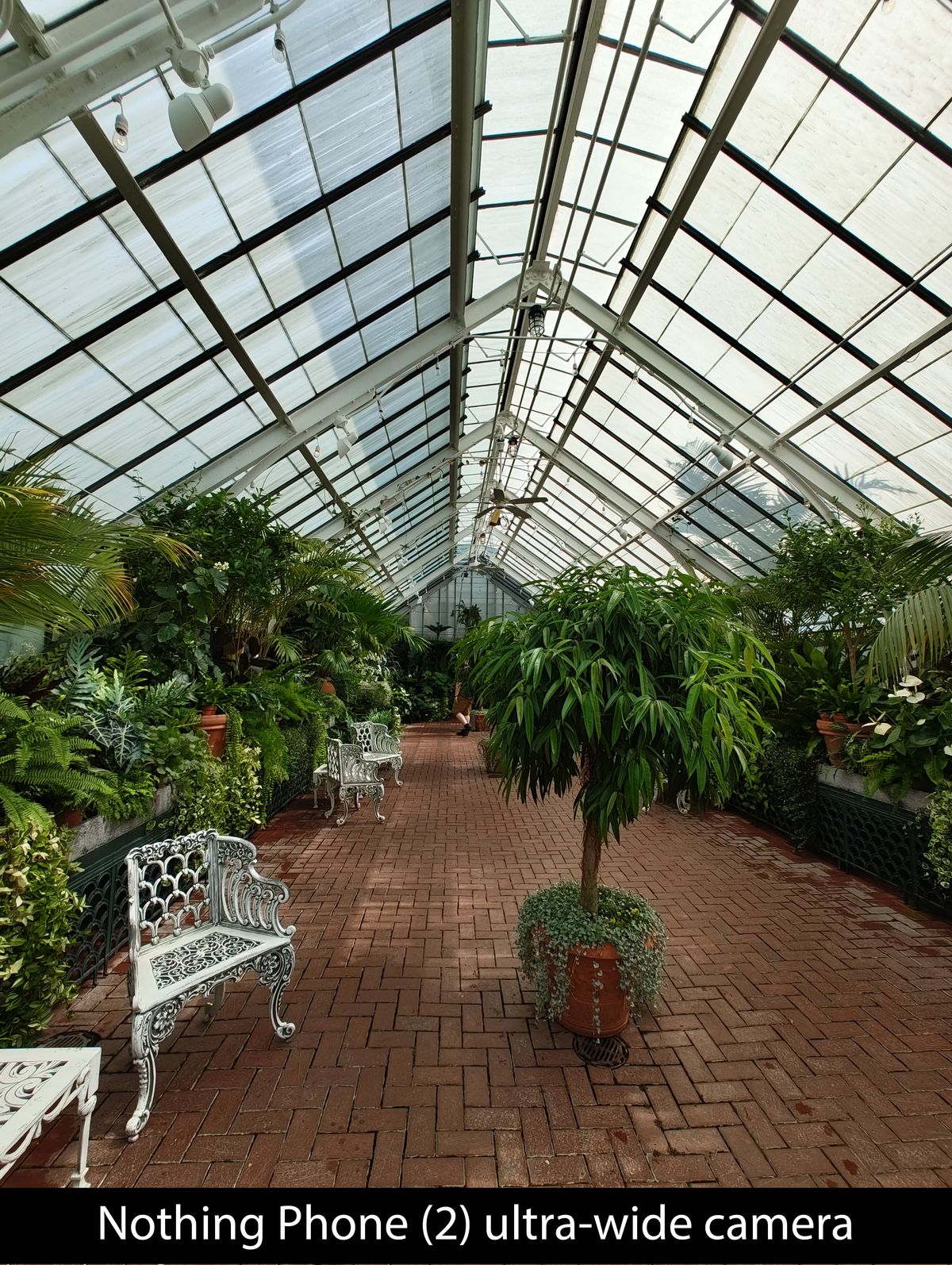 Nothing Phone (2) ultra-wide camera samples